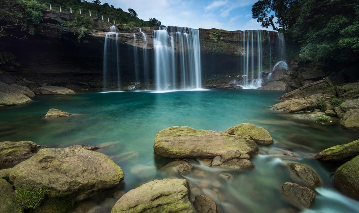 Mockingbird lemmer Fange A Nature Lover's Guide to Meghalaya - Travelogues from Remote Lands