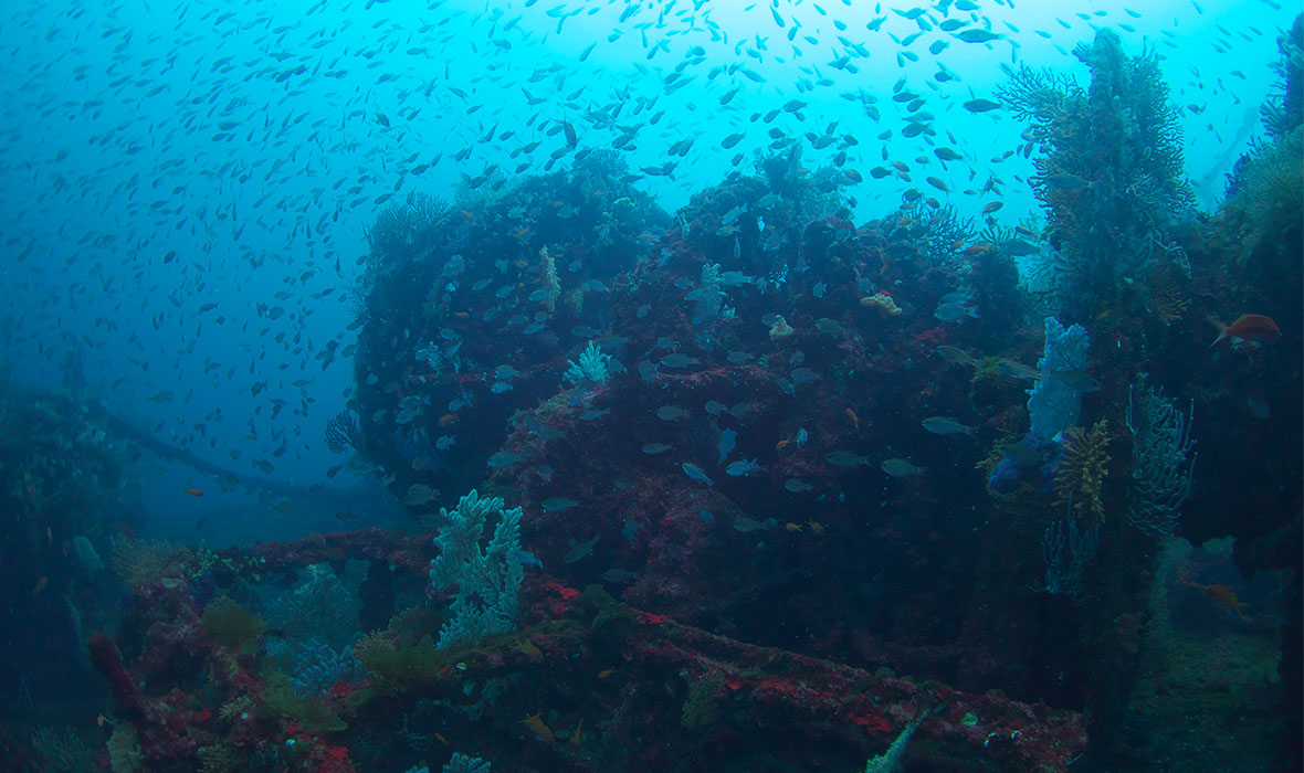 Chinsen-wreck-3
