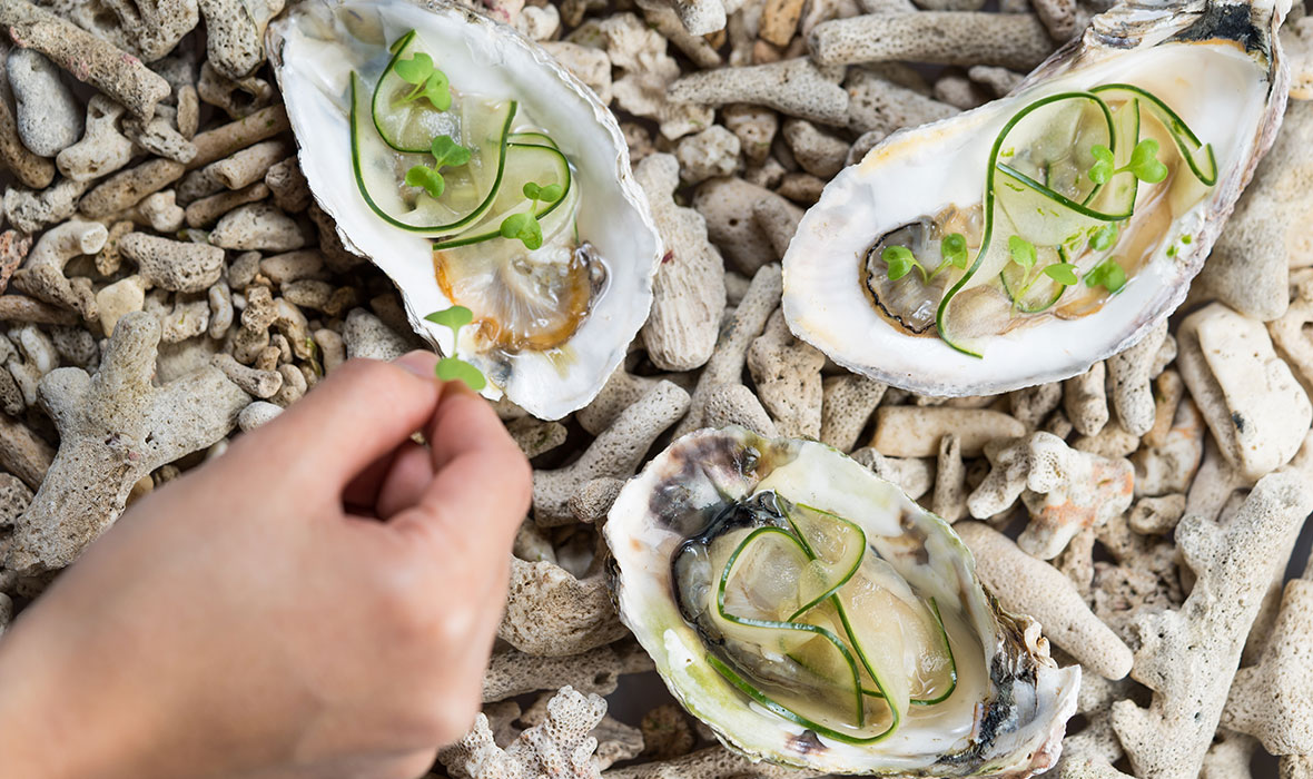 Local-Oysters-with-Pickled-Cucumber-and-Basi