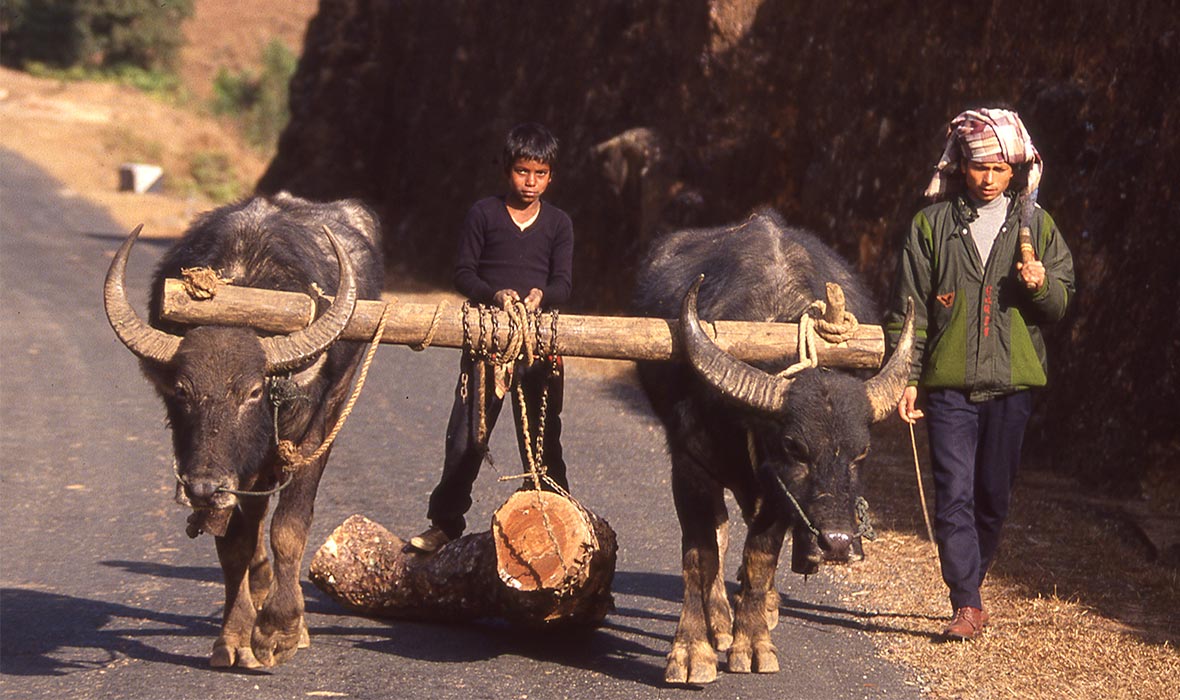 Meghalaya-img583