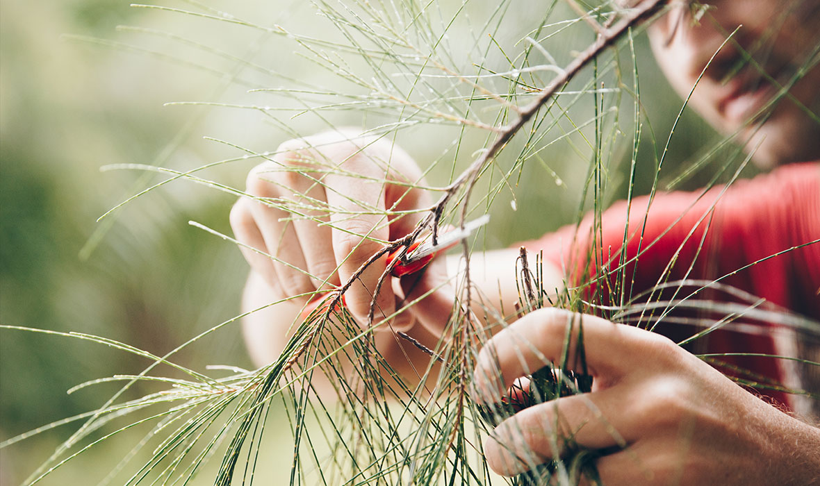 Foraging_8