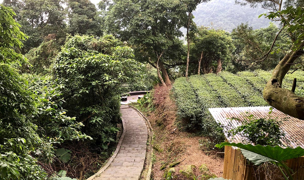 Teatrails