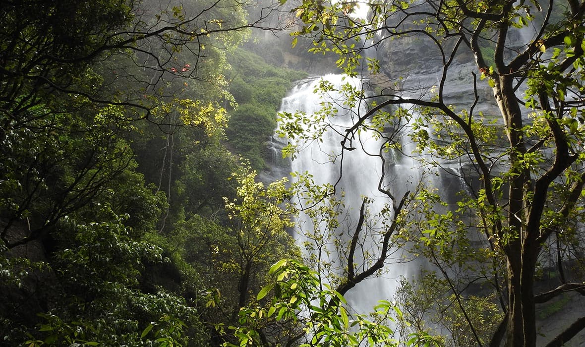 Bomburu Ella Falls