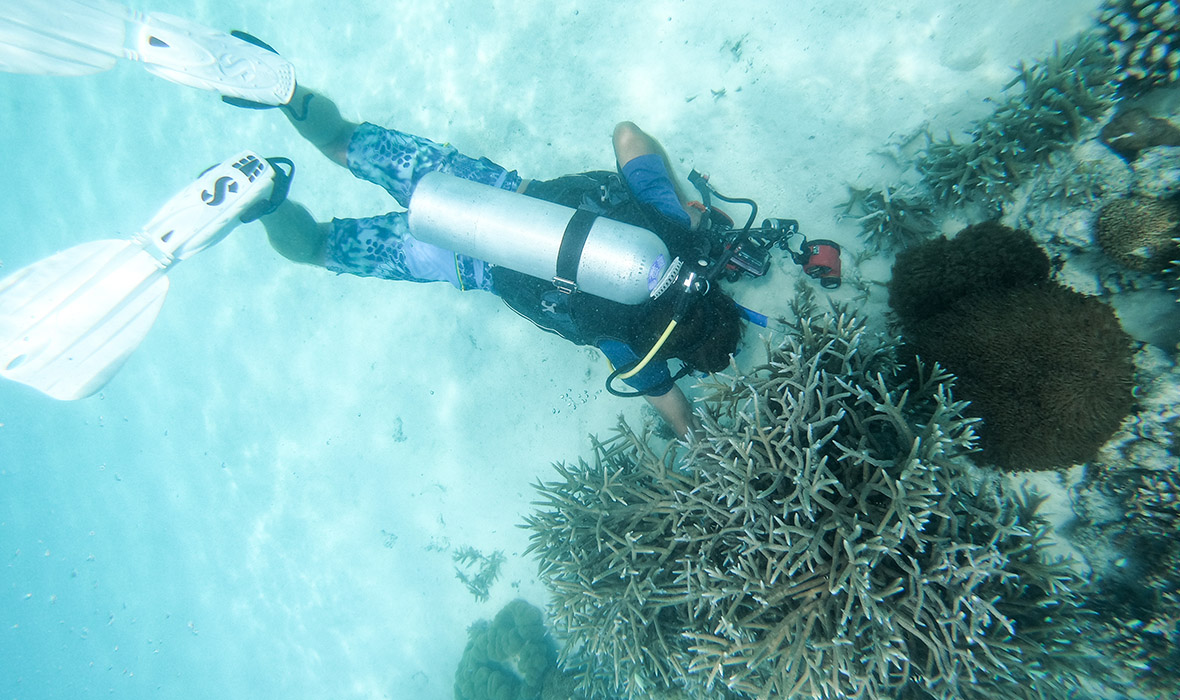 DCIM100GOPROGOPR2020.JPG
