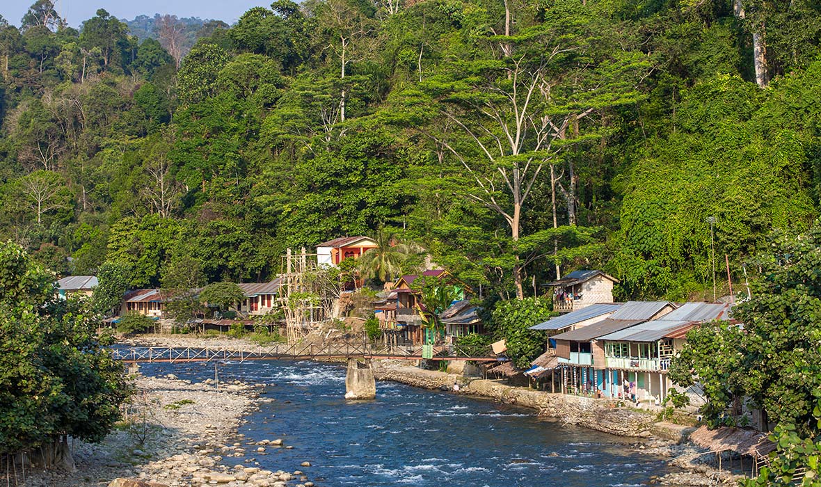 Apes-Gunung-Leuser-05