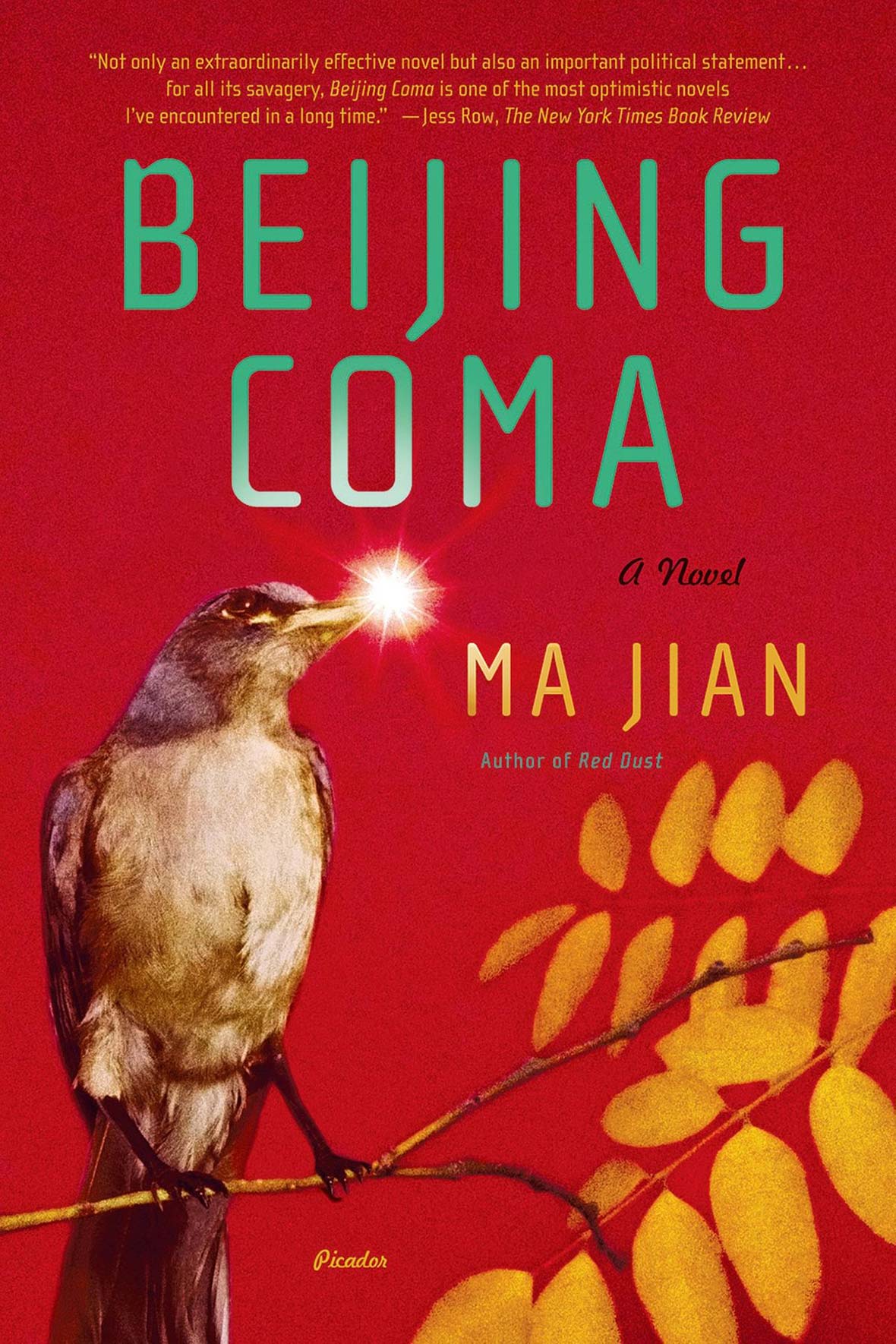 beijing-coma