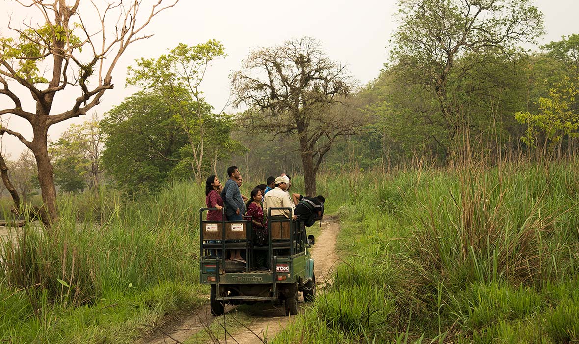 Rhinos-Chitwan-03