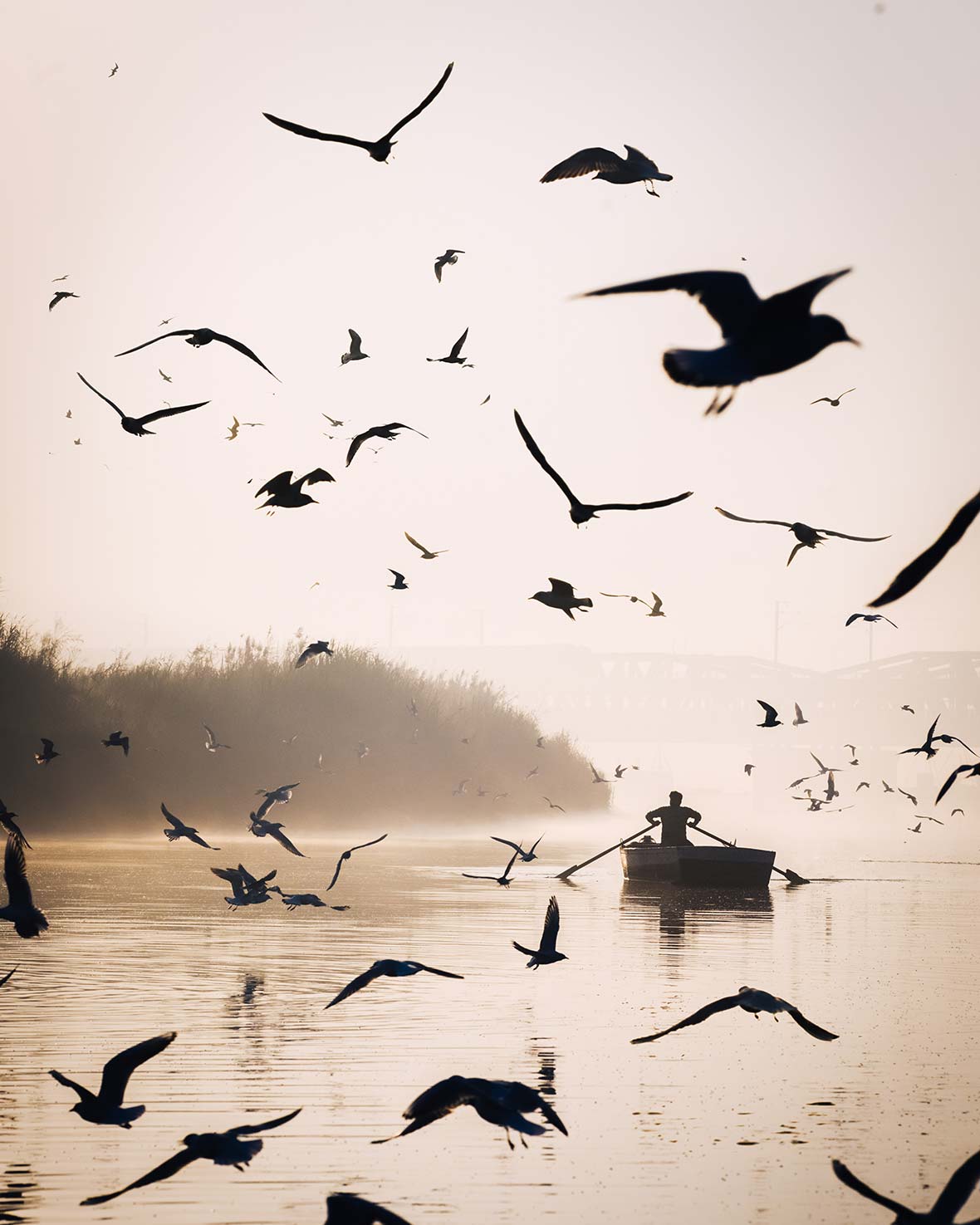 Shooting-India-03