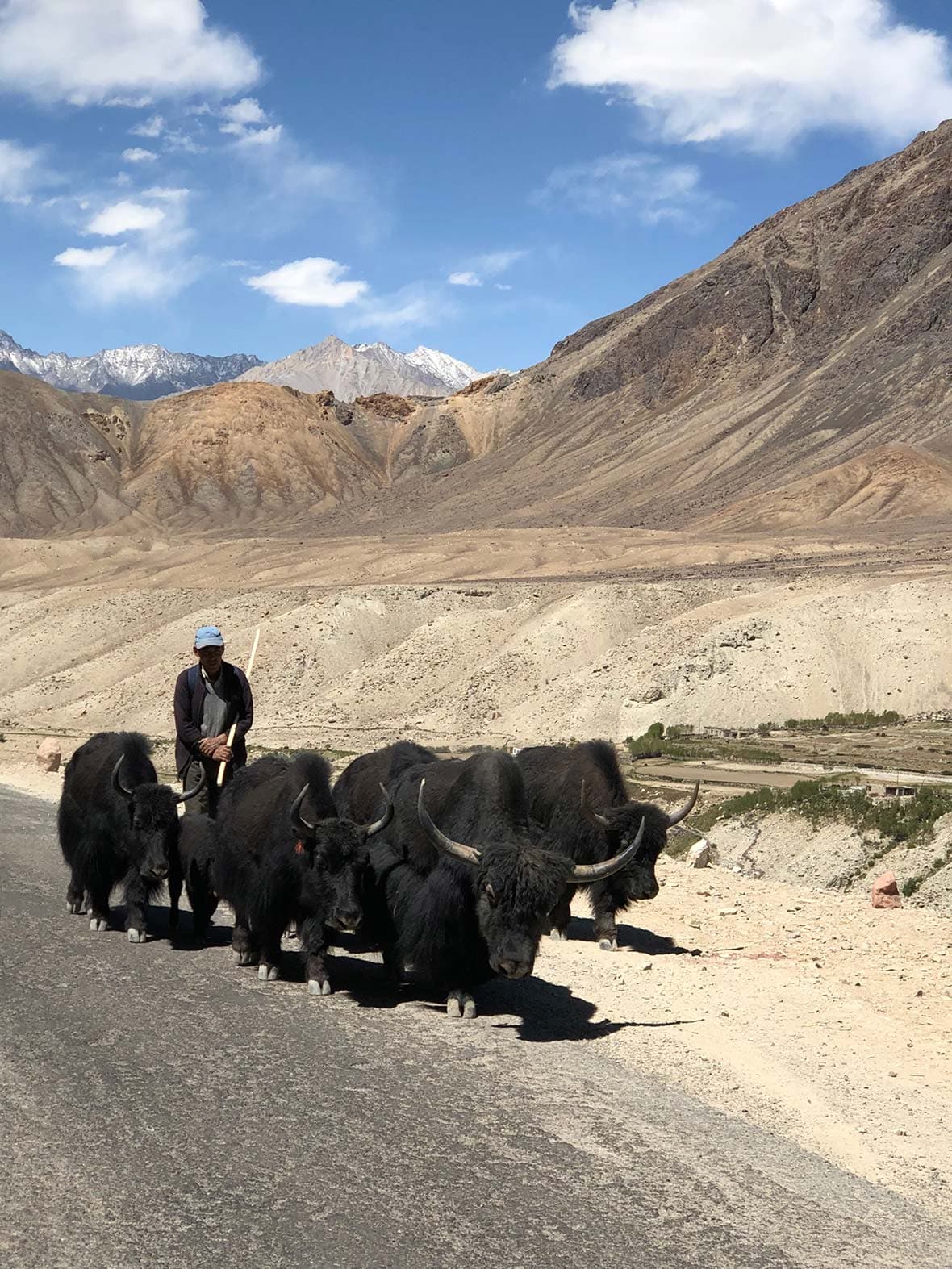 Traveling Camp Ladakh 06