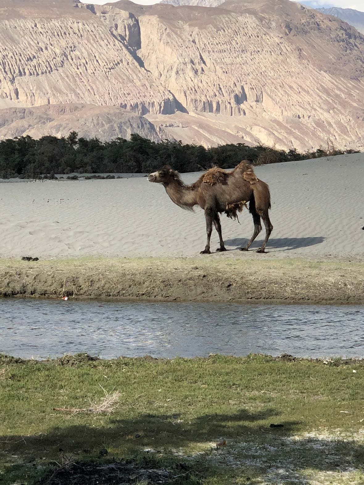 Traveling Camp Ladakh 08