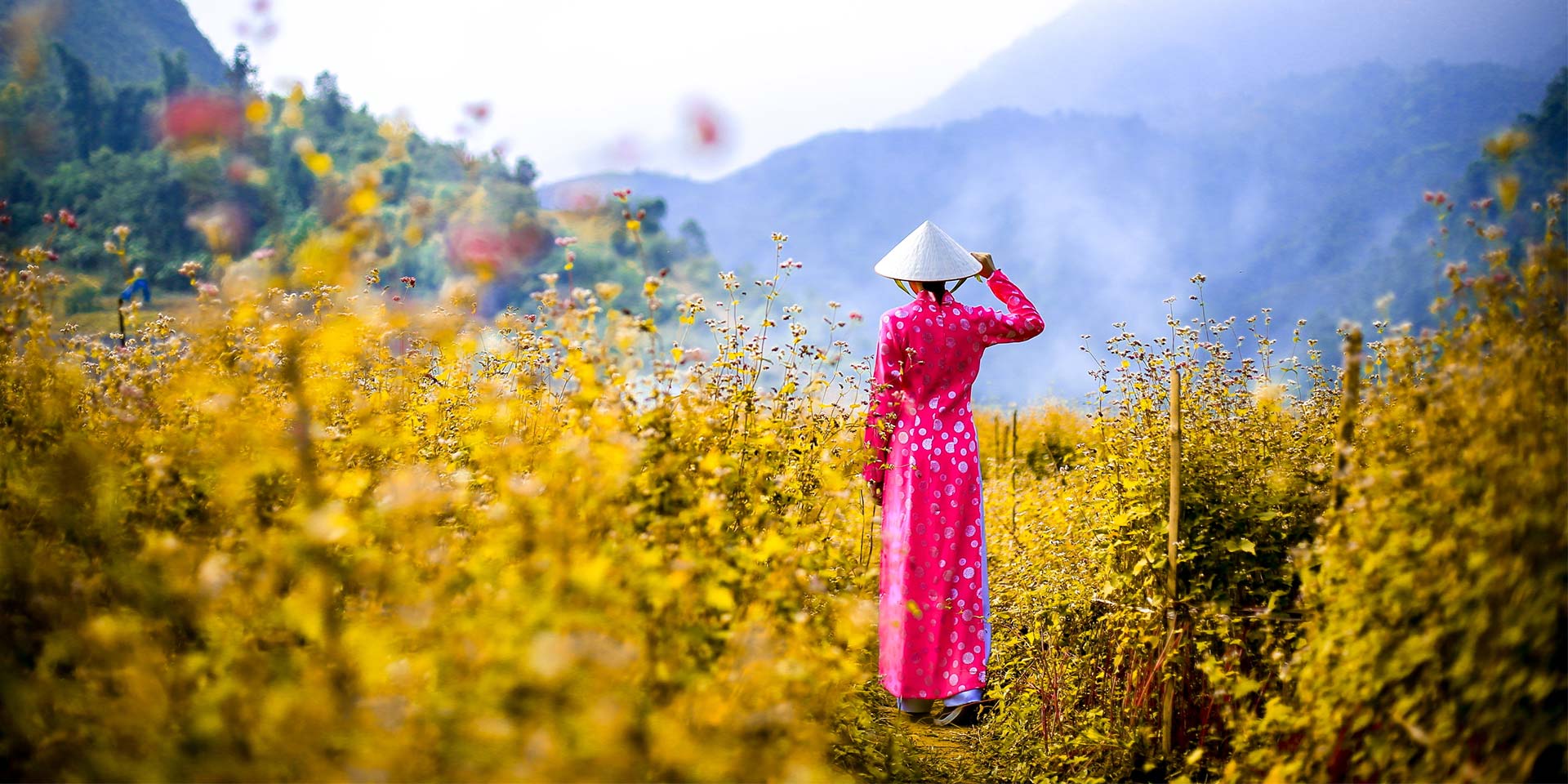 Ao Dai: A Short History of Vietnam's Most Popular Dress
