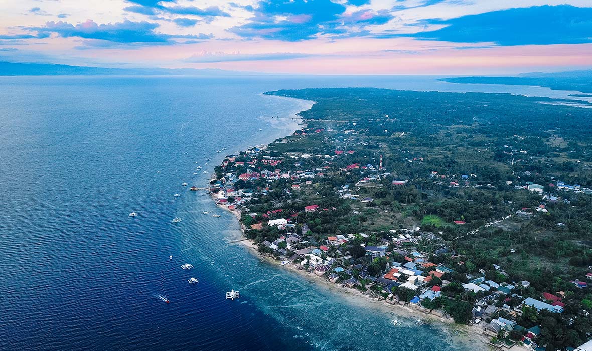 Sardine-Run-Cebu-04