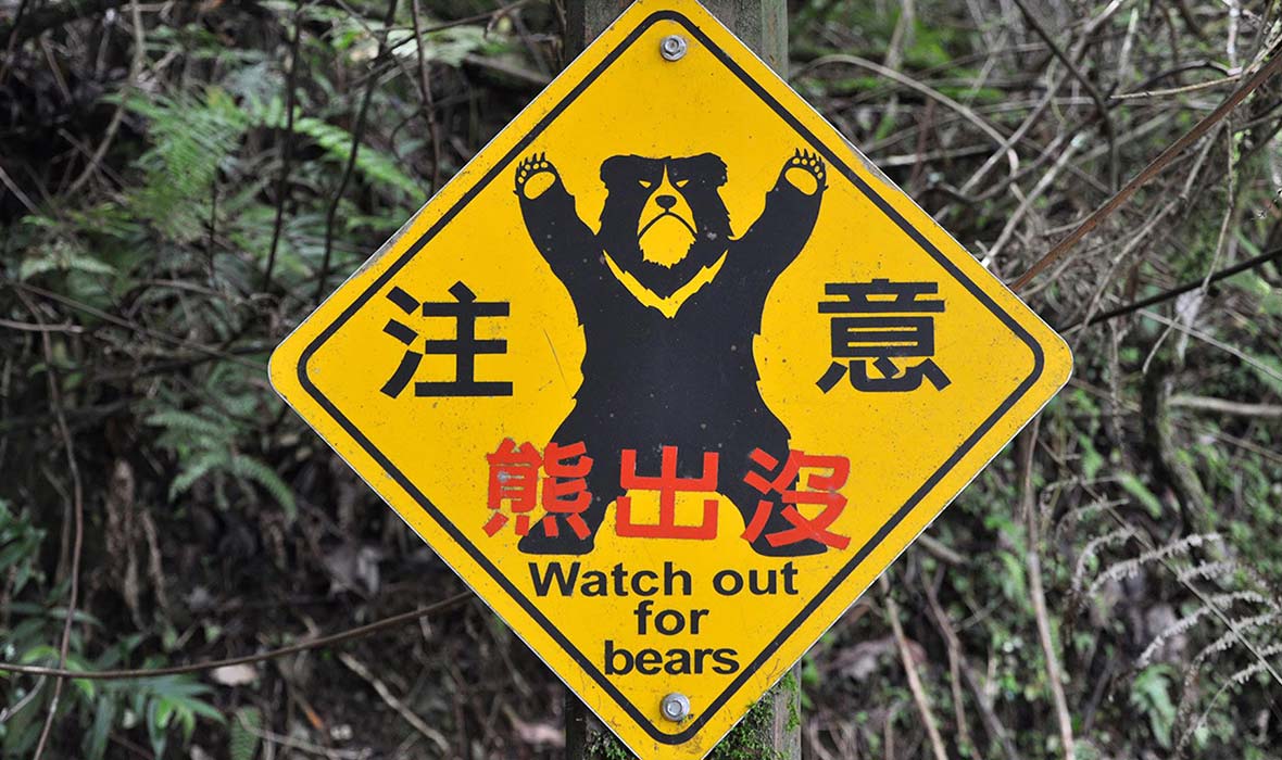 Formosan-Black-Bears-5
