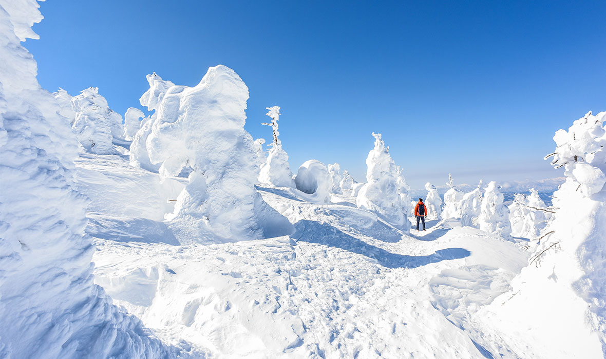 Cold Winter Pick-Tohoku-2