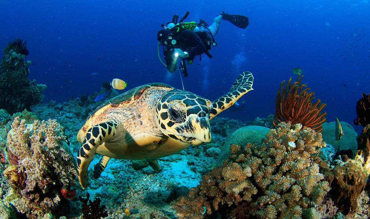 Raja-Ampat-hotwinterpick-04
