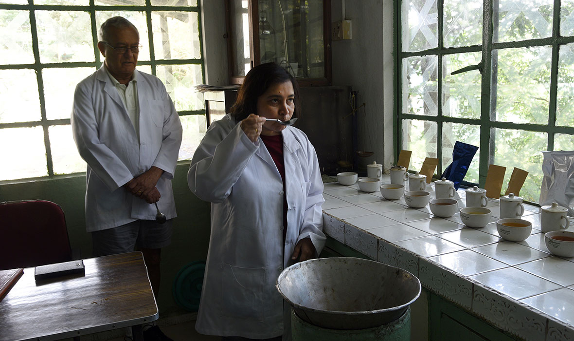 07.-Tea-tasting-session-at-the-Glenburn-factory