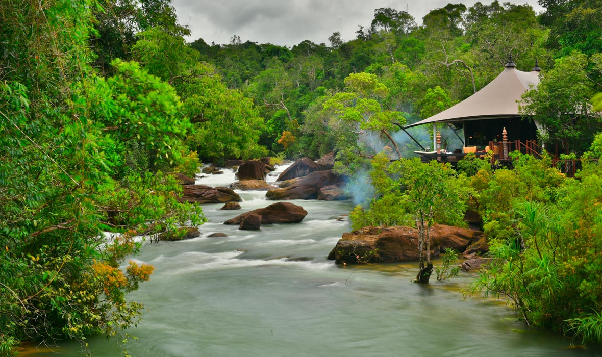 DDD-Cardamom-Mountains-03