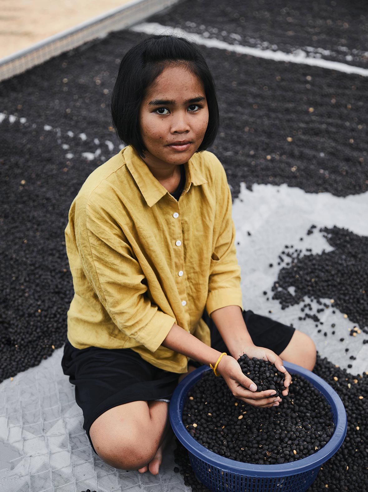 Coffee-Thailand-3