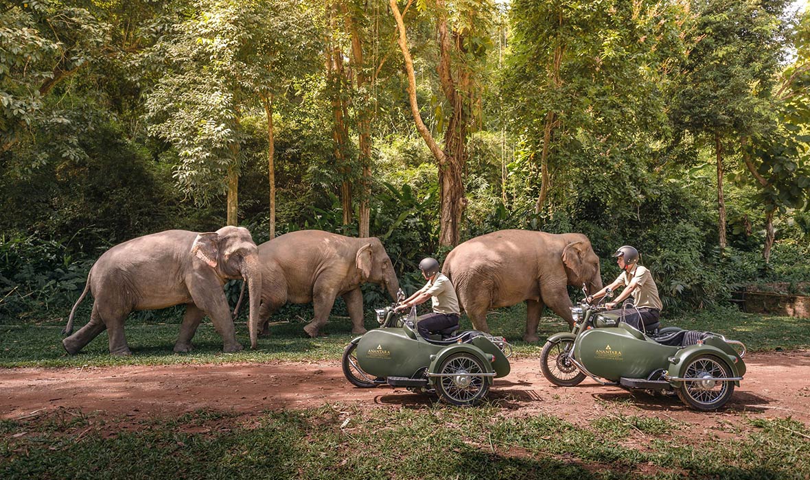 Jungle Bubbles Open at Anantara Golden Triangle Elephant Camp