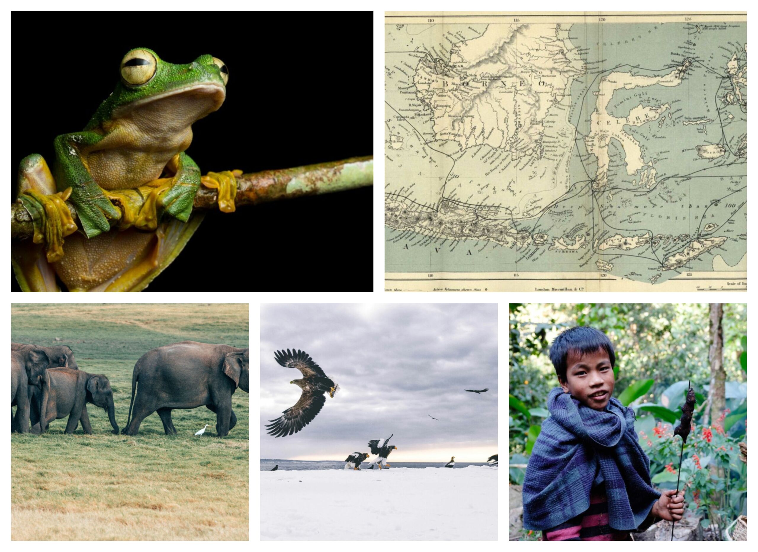 Top 10 Travelogues of 2021 - Travelogues from Remote Lands