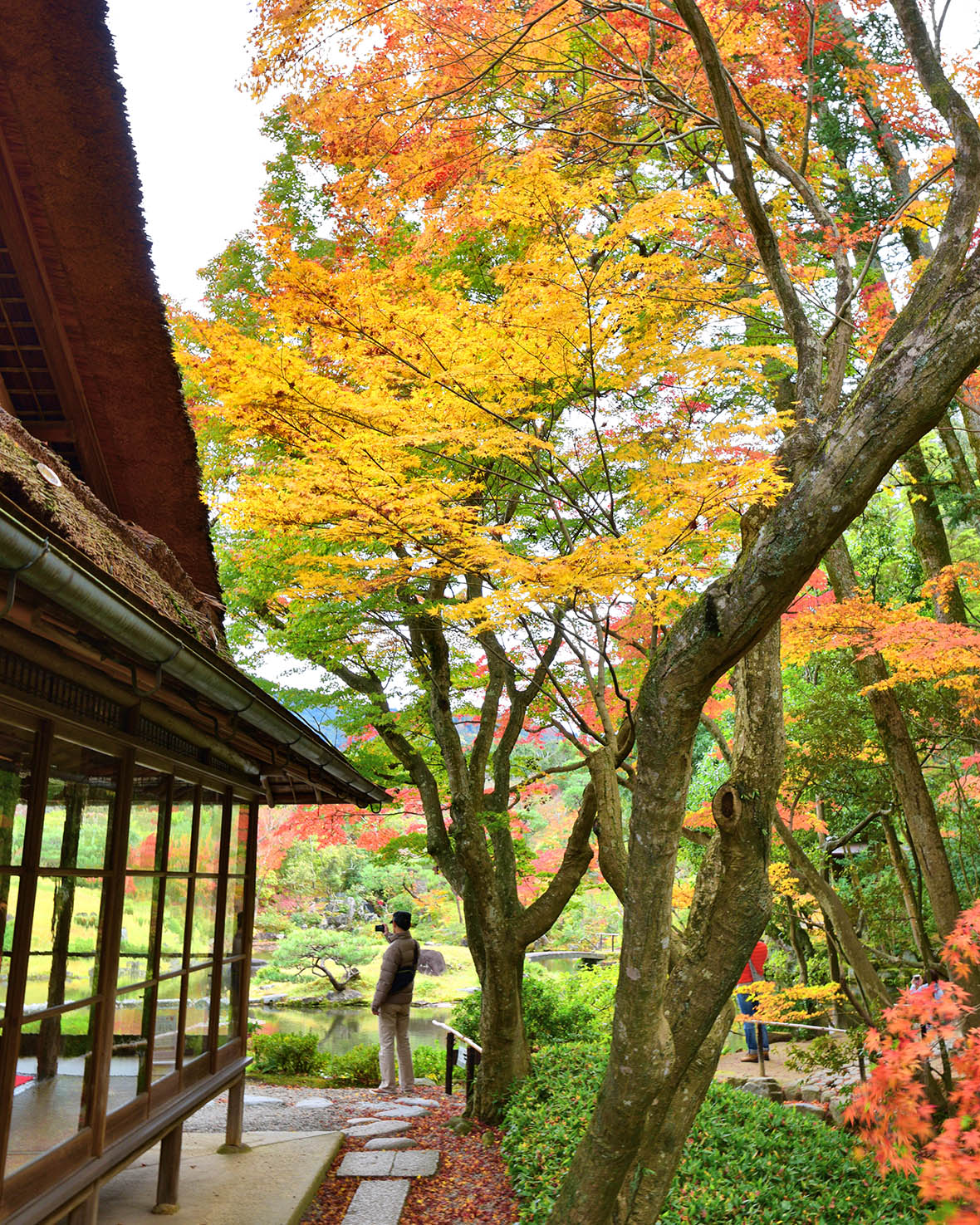 Raina's Japan Travel Journal - Ariake Garden, a newly opened
