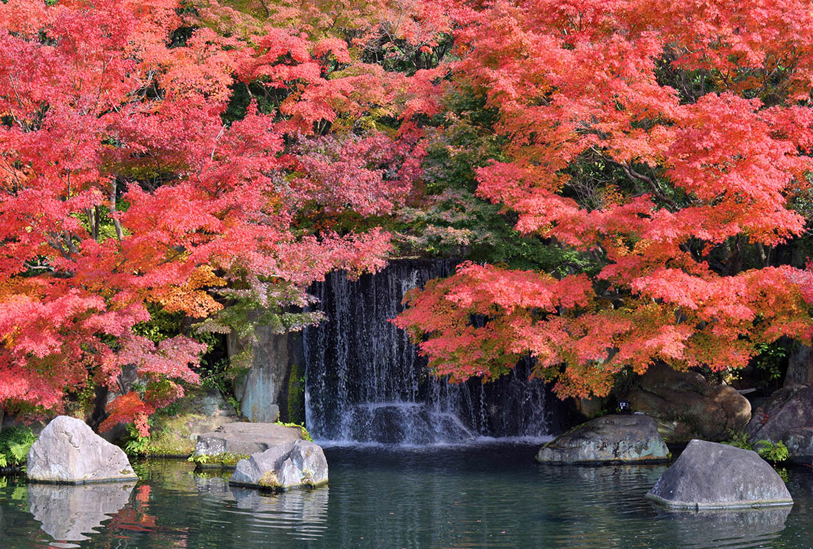 To Be Precise | Japan's Classical Gardens | Travelogues from Remote Lands