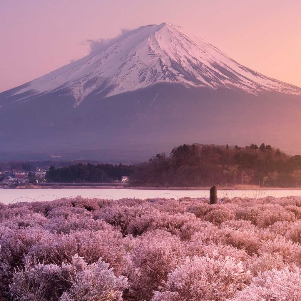 Travelogues from Remote Lands - Asia for the Discerning Traveler