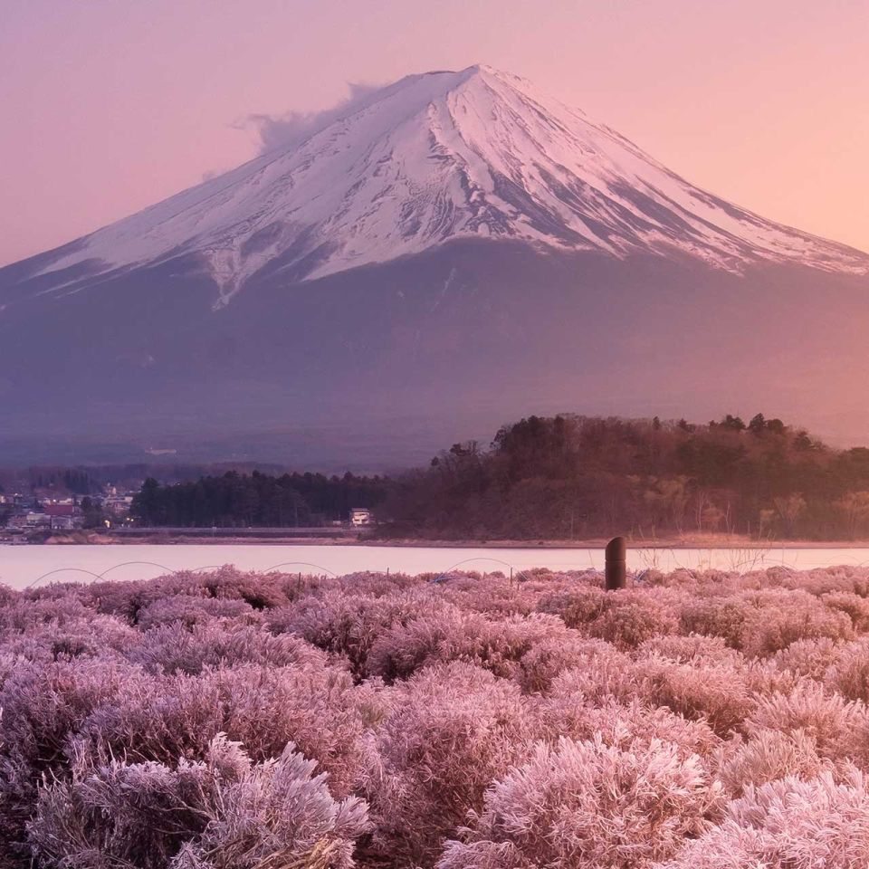 Travelogues from Remote Lands - Asia for the Discerning Traveler