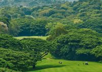 Swing Through Sri Lanka