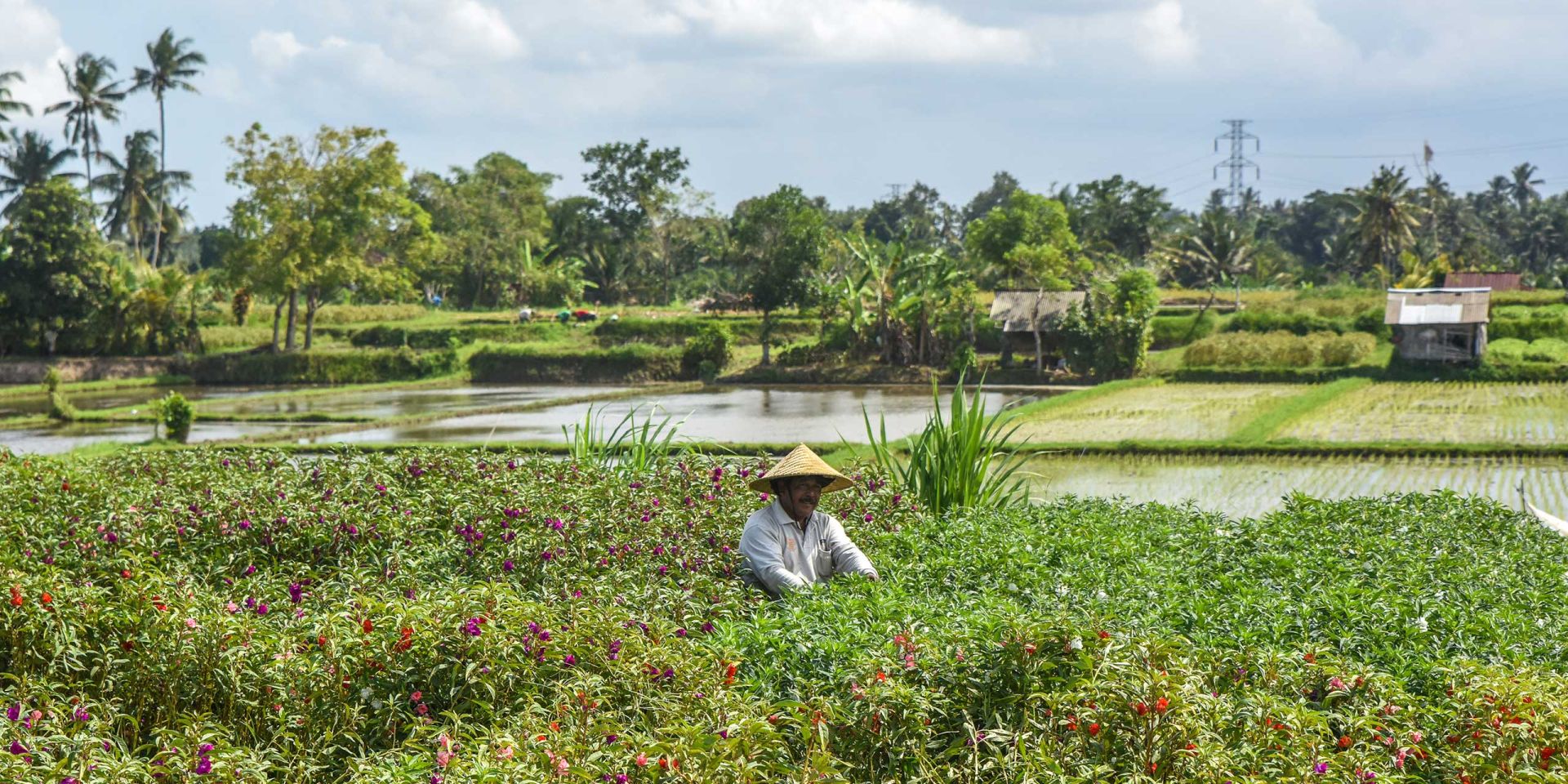 Operation Righteous Path The Righteous Path - Travelogues from Remote Lands