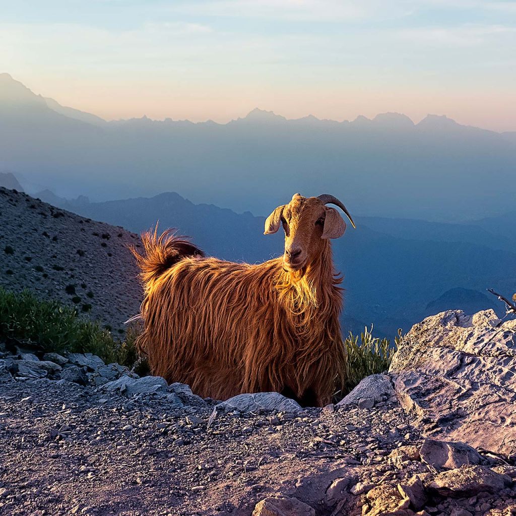 Travelogues from Remote Lands - Asia for the Discerning Traveler