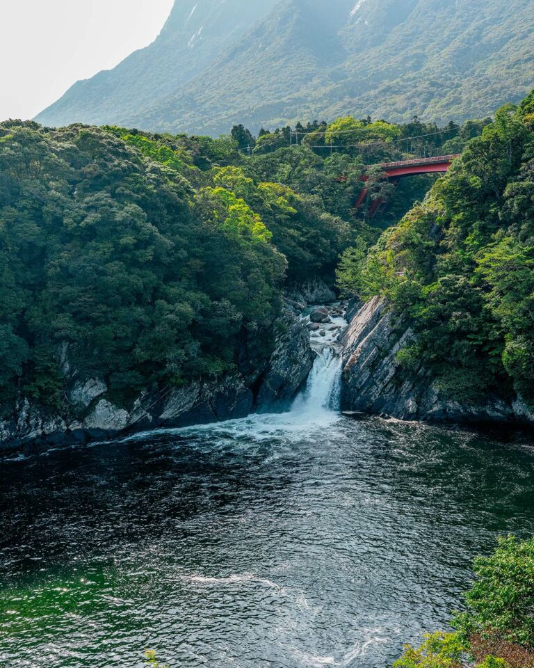 Toroki Waterfall Magical Medicine - Travelogues from Remote Lands