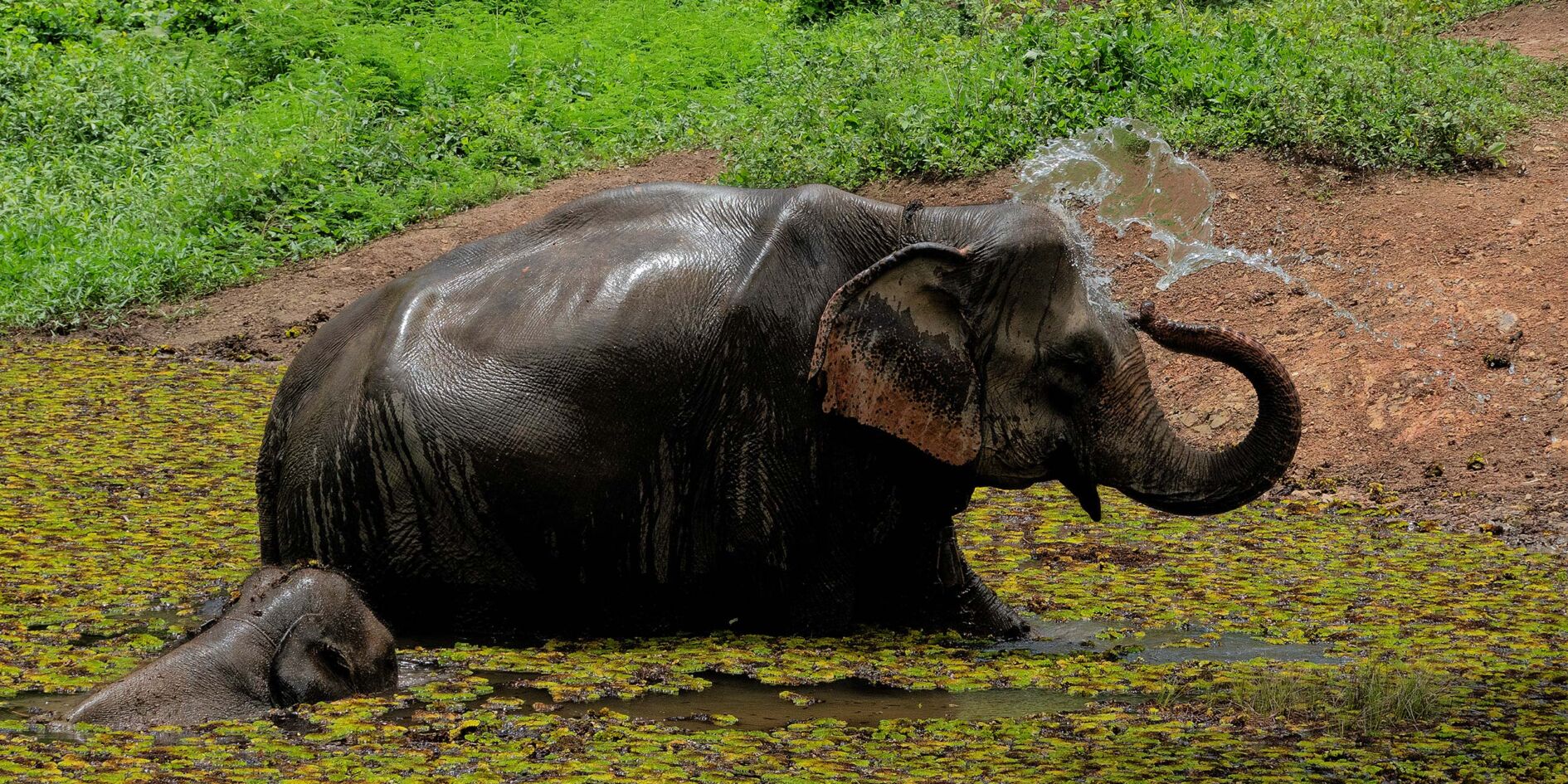 Travelogues from Remote Lands - Asia for the Discerning Traveler