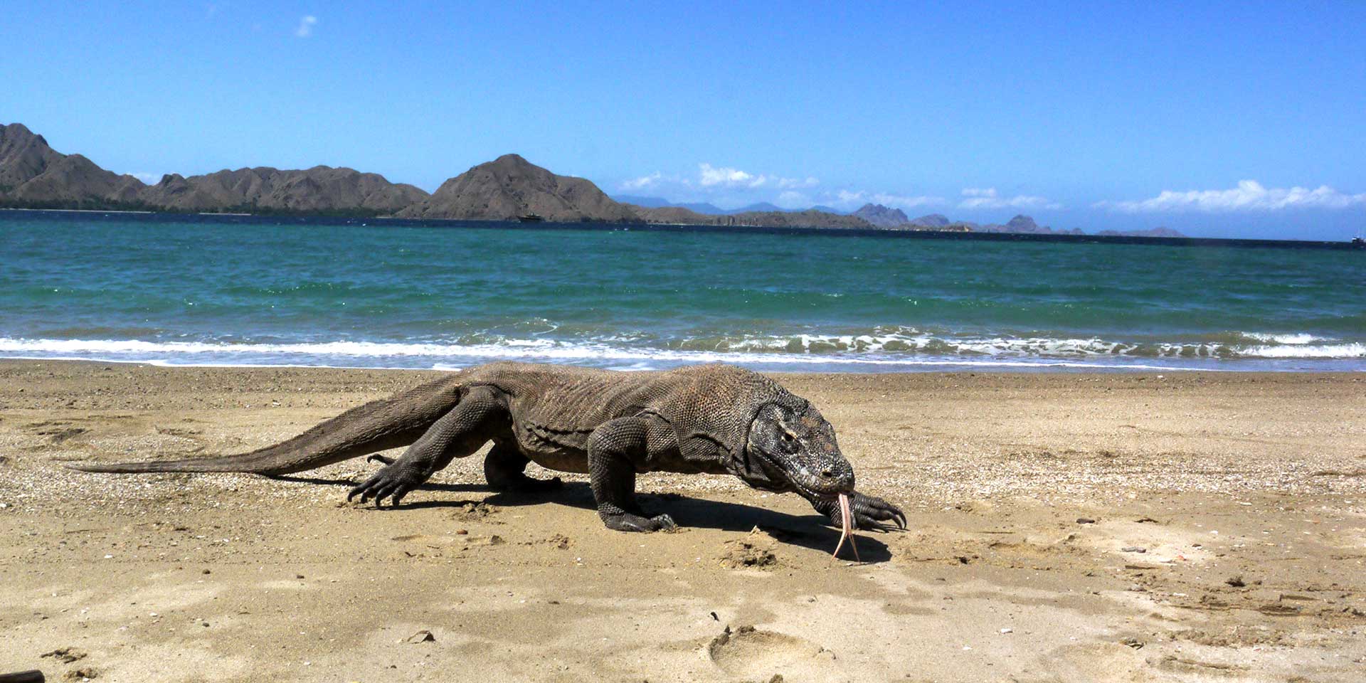 Walking with Dragons Travelogues from Remote Lands