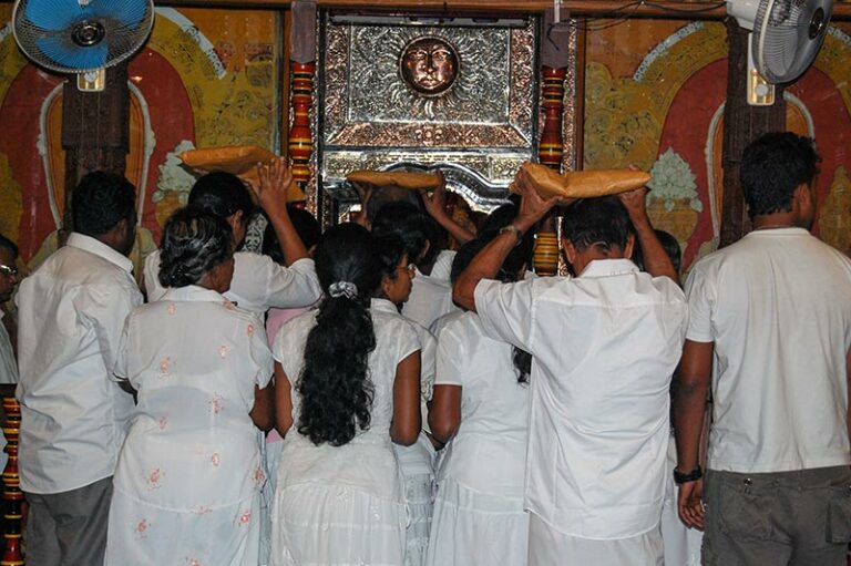 Kandy_2c Kandy_2c
