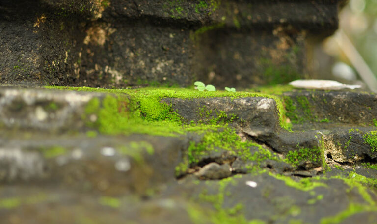 DSC_0123 DSC_0123