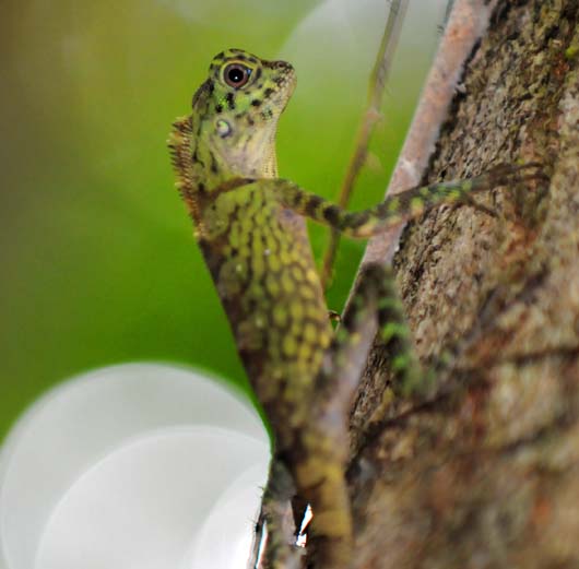 DSC_1674 DSC_1674