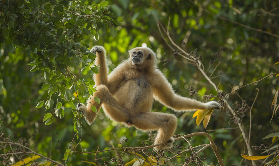 Liburan Seru Di Thailand