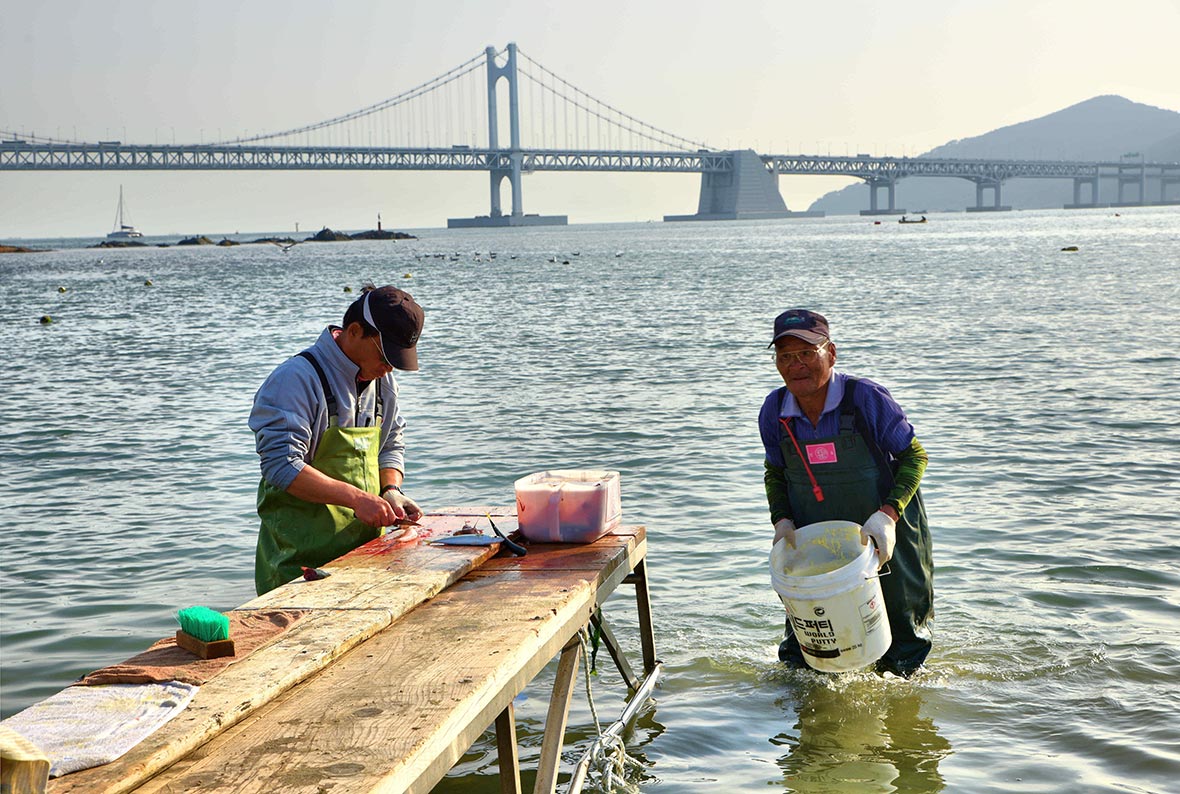 Gwangalli-1 Gwangalli-1