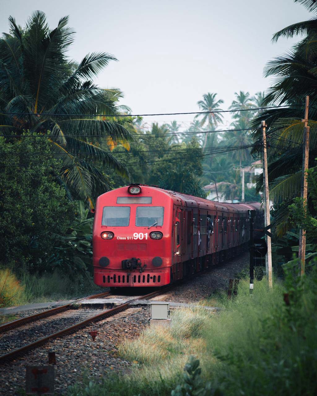 SriLanka-collage-4 SriLanka-collage-4